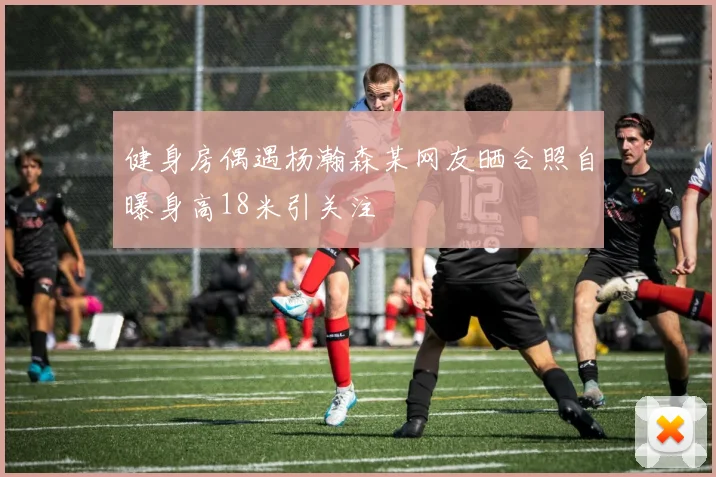 健身房偶遇杨瀚森某网友晒合照自曝身高18米引关注